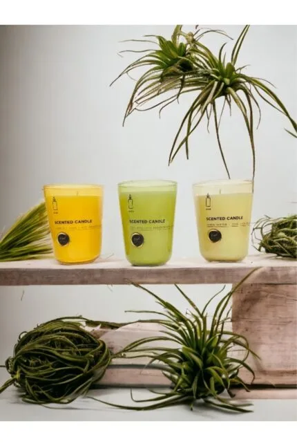 OUD-JASMİN - SOFT COTTON 3LÜ SET BARDAK MUM