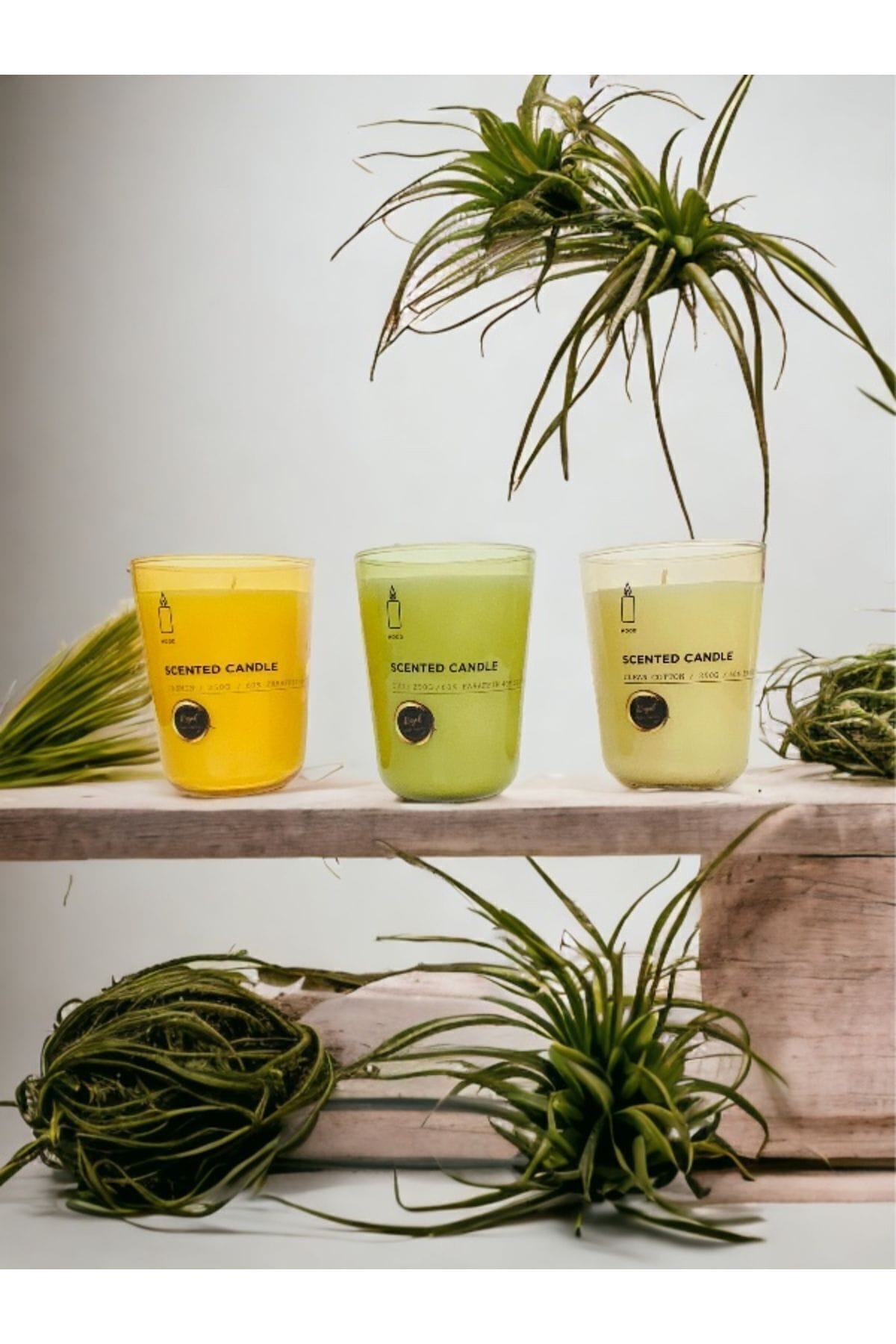 OUD-JASMİN - SOFT COTTON 3LÜ SET BARDAK MUM