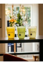 OUD-JASMİN - SOFT COTTON 3LÜ SET BARDAK MUM